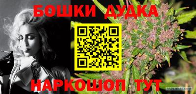 apvp Севастополь